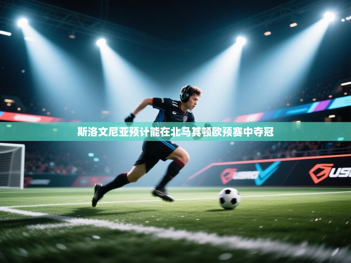 斯洛文尼亚预计能在北马其顿欧预赛中夺冠 第1张