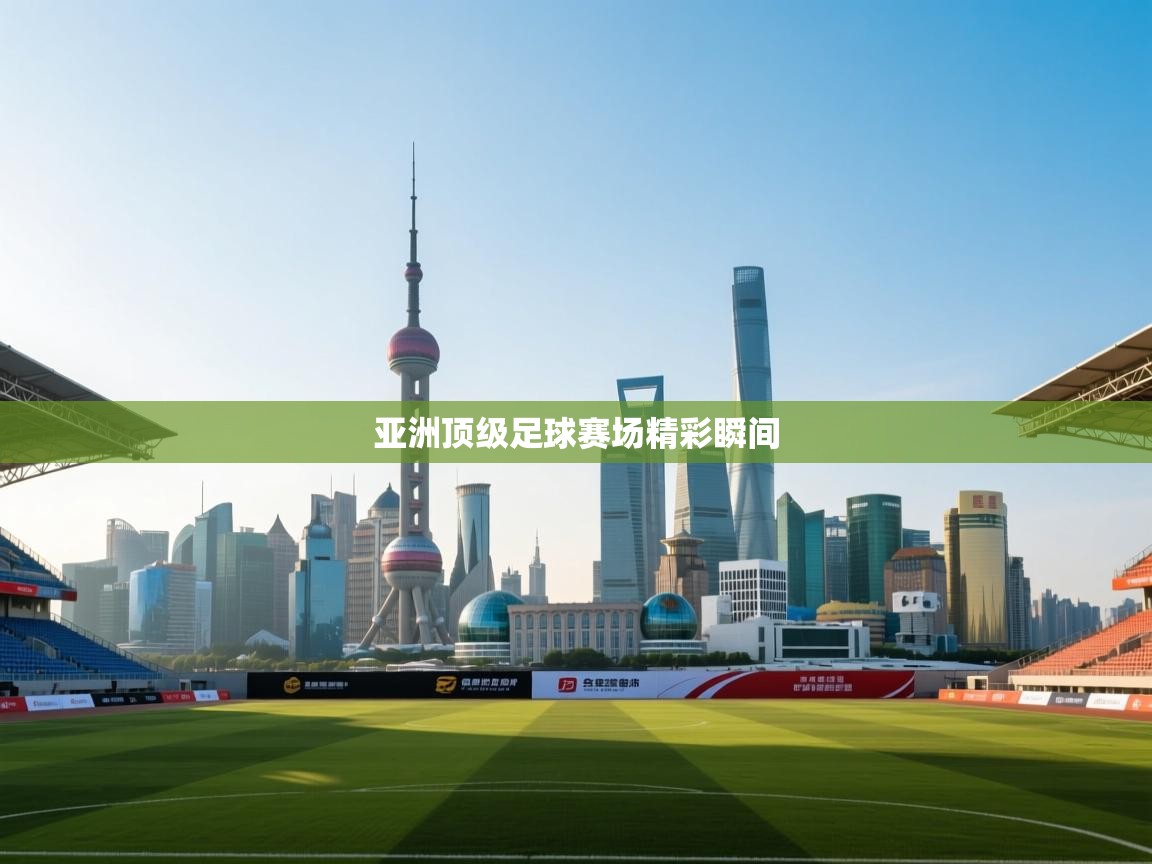 亚洲顶级足球赛场精彩瞬间  第1张