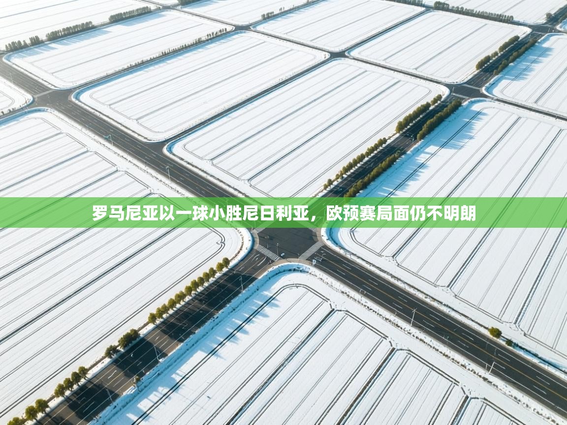 罗马尼亚以一球小胜尼日利亚，欧预赛局面仍不明朗  第1张